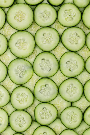 Cucumber farm salad