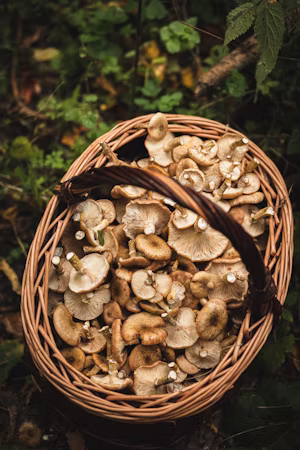 Mushroom and onion skillet