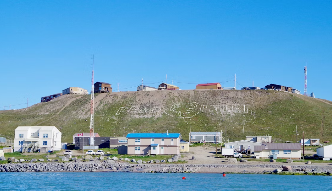 Floe Edge wildlife viewing